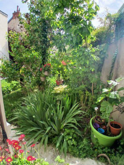 Appart Rez De Jardin Ντιζόν Εξωτερικό φωτογραφία